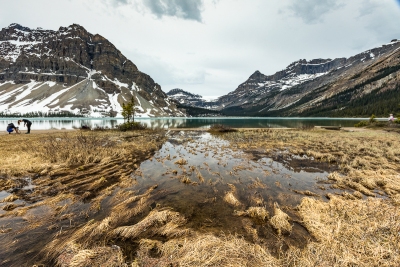 BOW LAKE #2 - BANFF NATIONAL PARK, CANADA