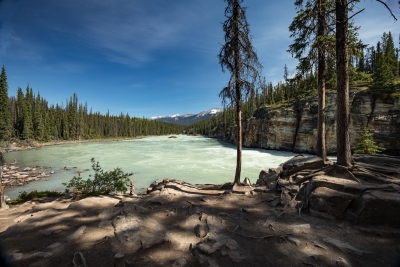 SUNWAPTA FALLS #1 -  BANFF NATIONAL PARK, CANADA