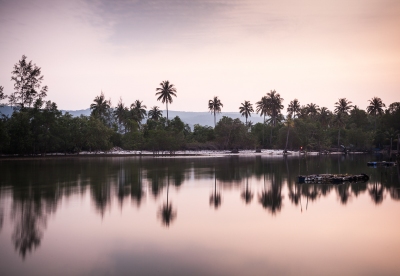 JUNGLE REFLECTION #1 - PREK SVAY