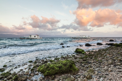 FOSSILISED CORAL BEACH #1 - PADRE BURGOS