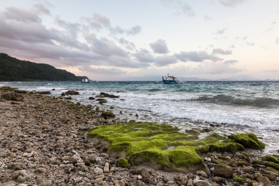FOSSILISED CORAL BEACH #2 - PADRE BURGOS