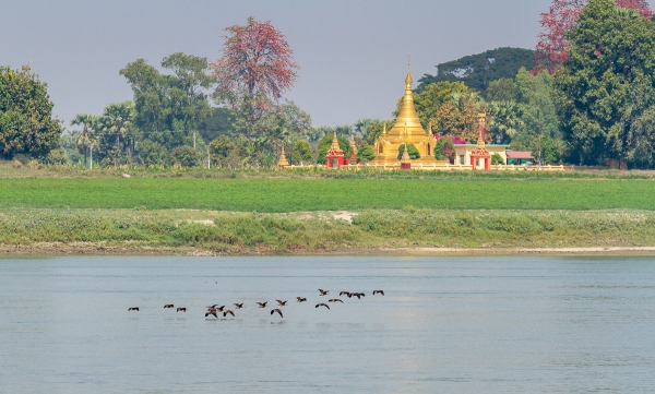 MYANMAR